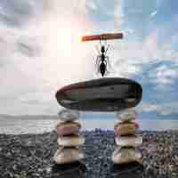 node.js官​网‌下﻿载﻿